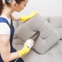 Couch Cleaning Tharwa
