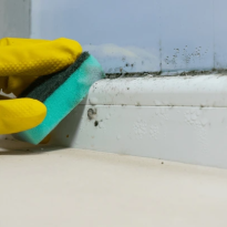 codifyformatter (57)