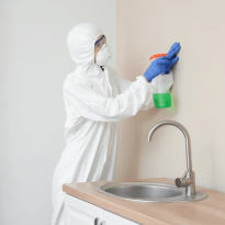 codifyformatter (59)