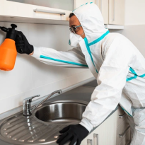 codifyformatter (60)