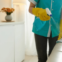 codifyformatter (80)