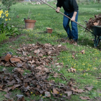 codifyformatter (93)