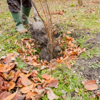 codifyformatter (94)