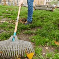 codifyformatter (96)