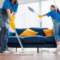 House Cleaning Throsby