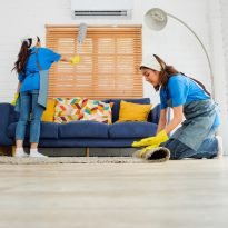 Apartment Cleaning Hall