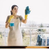 oven cleaning Canberra