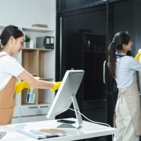 rug cleaning Tharwa