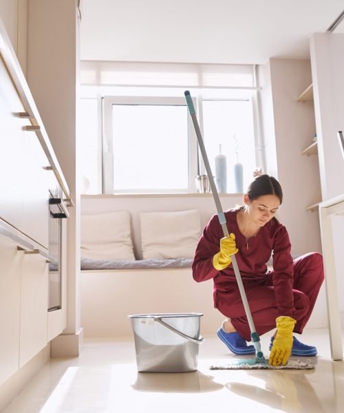 Professional Cleaners Canberra